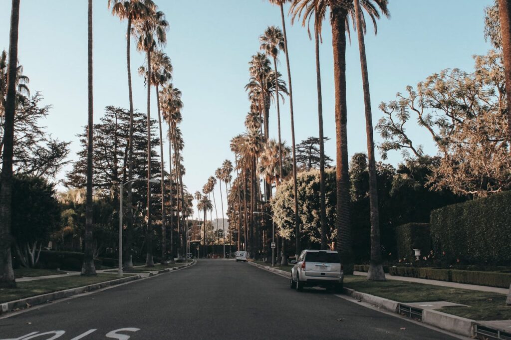 ProActive-Property-Management-Los-Angeles